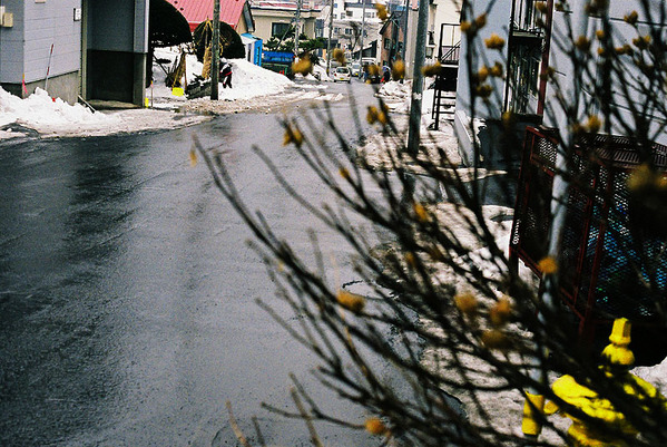 20100320-p13