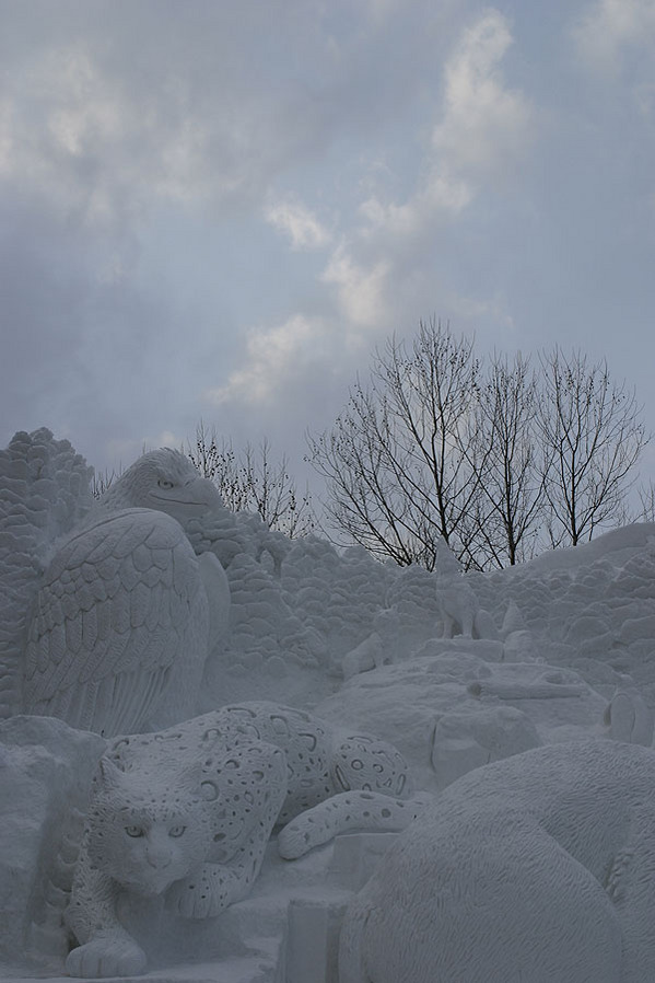 20100204-p01
