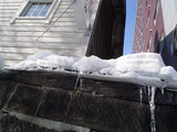 20050302-p01.jpg