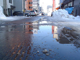 20050307-p01.jpg