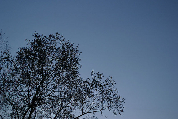 20100411-p07