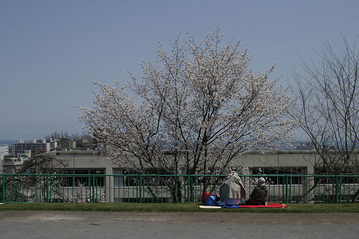 20090504-p03