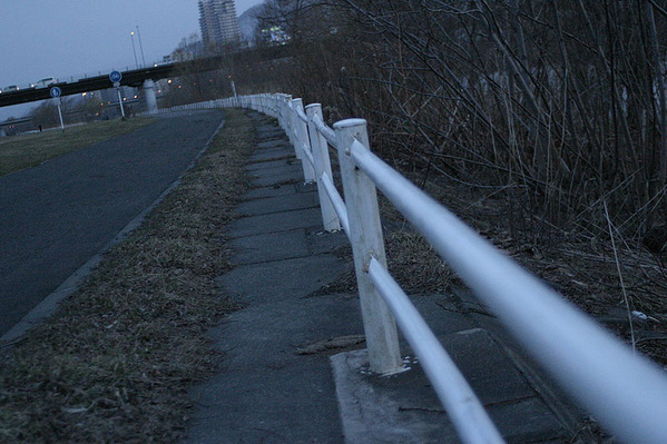 20100411-p03