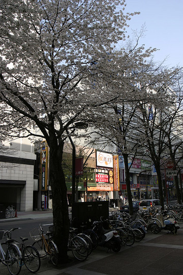 20090430-p01