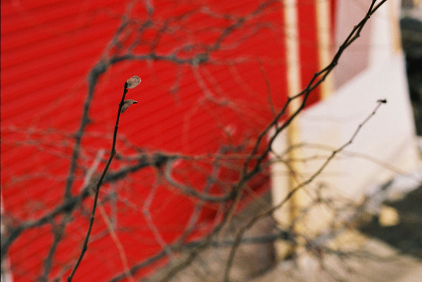 20100417-p05