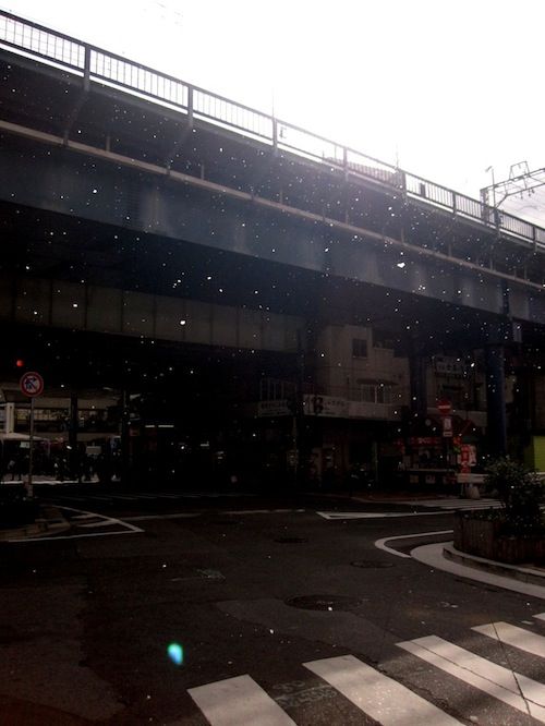 20101231