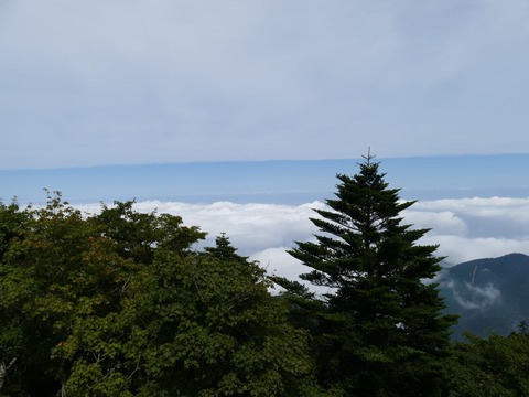 P1030341