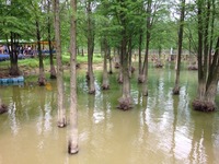 2014-05-25-11-11-32