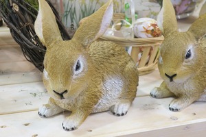 lubeck shopping (15)
