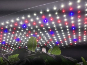 aerogarden led