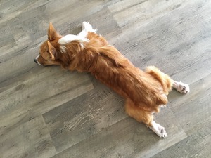 yoshi legs