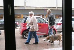 lubeck dogs (10)