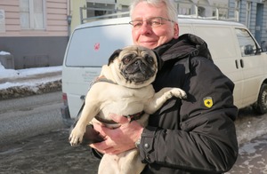 lubeck dogs (8)