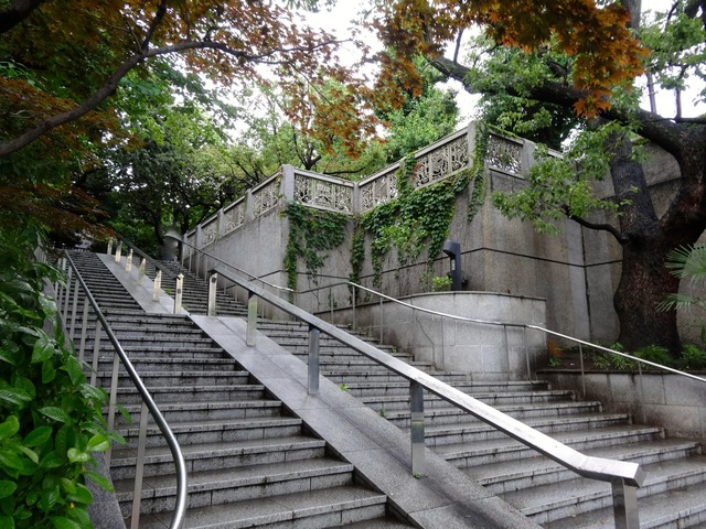 DSC00464