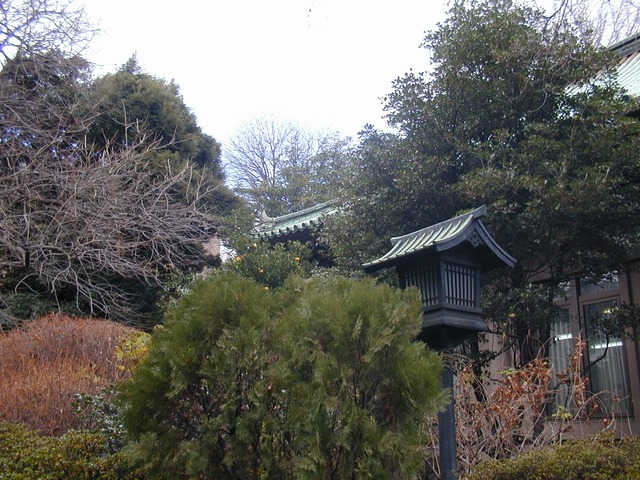 DSCN0043