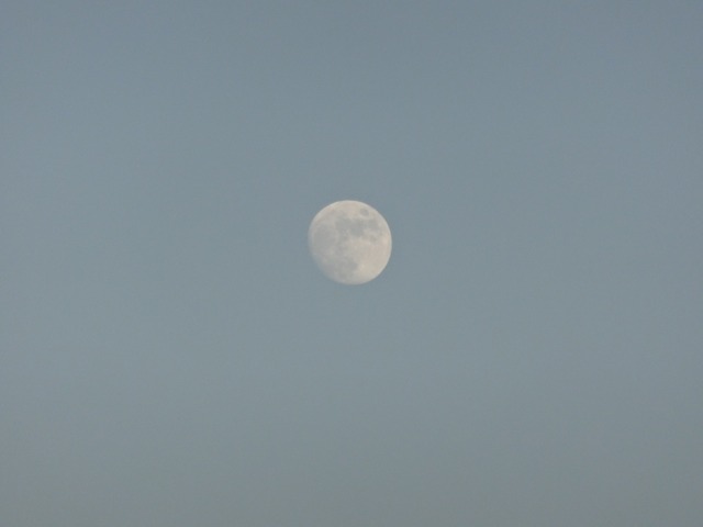 DSC07155