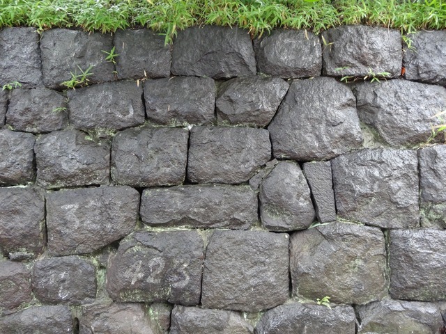 DSC00446