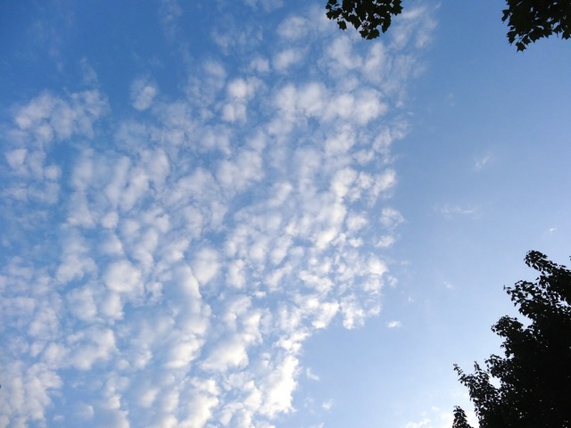 DSC00610