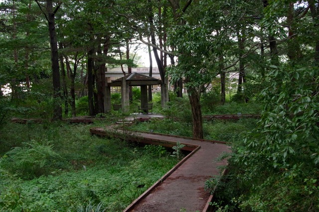 IMGP8069