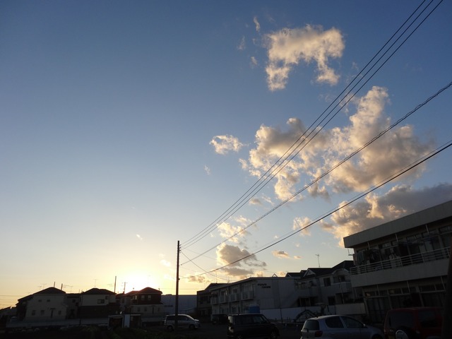 DSC07157