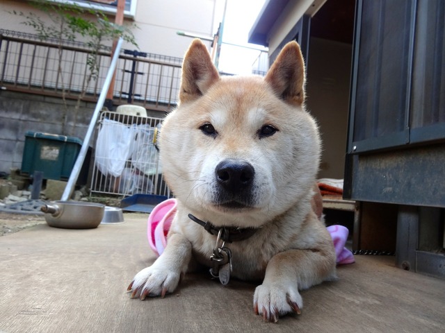 DSC07726