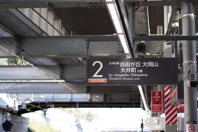 IMGP3833