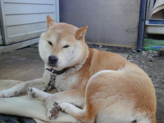 DSCN0007