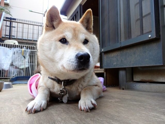 DSC07725
