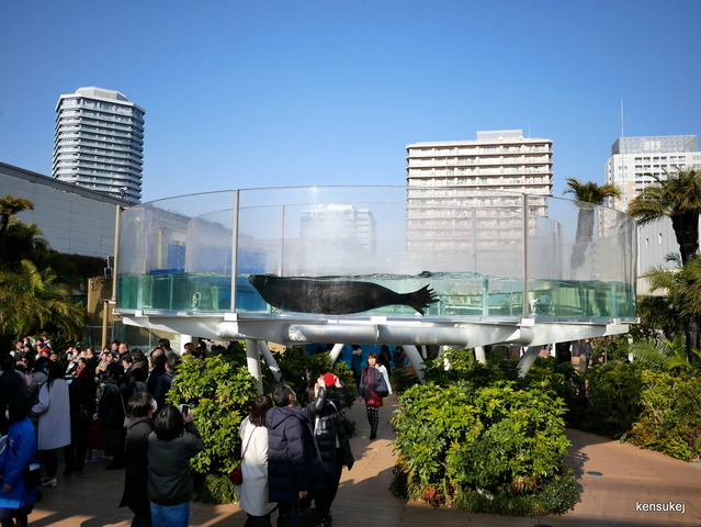 P1070885
