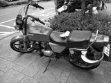 DSCN0716