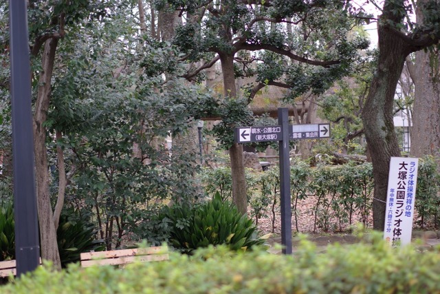 IMGP6207