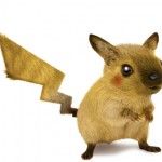riapoke01