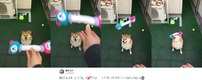 投げるよ