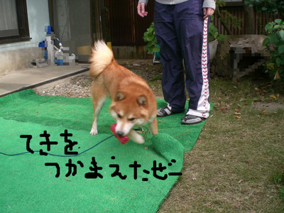 BlogPaint