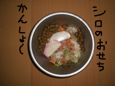 BlogPaint