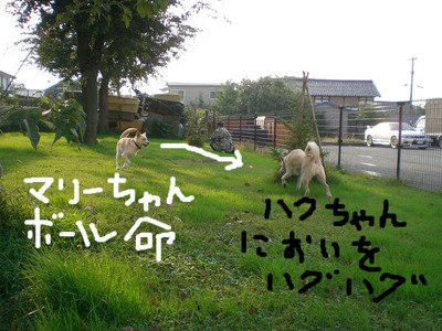 BlogPaint