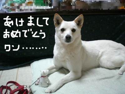 BlogPaint