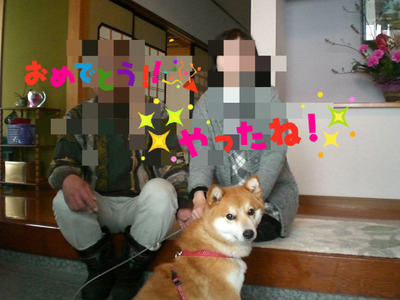 BlogPaint
