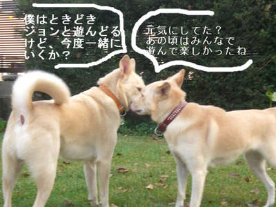 BlogPaint
