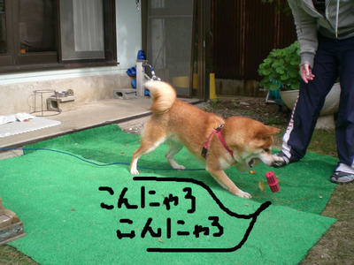 BlogPaint