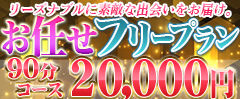 DSフリープラン240x99