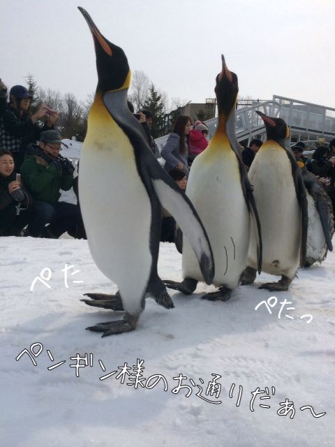 13971885.jpg