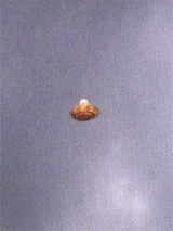 UFO1