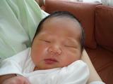 ¤Ò¤å¤¦¤¬¤¯¤ó