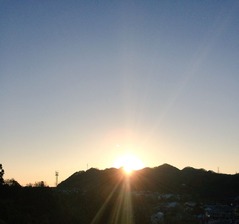 写真 2017-01-01 8 08 46