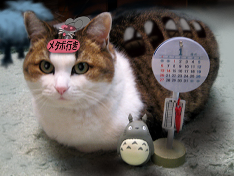 となりのトトロに登場するネコバスの行き先表示板 す と書かれていたり漢字で書かれていたりひっくり返ったり カキコミぱれーど