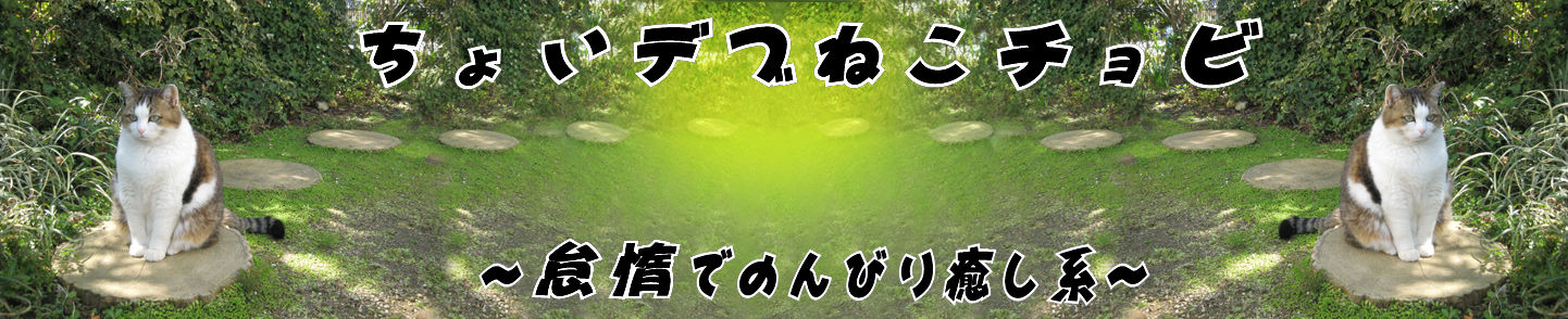 2012����Ӳƣ�