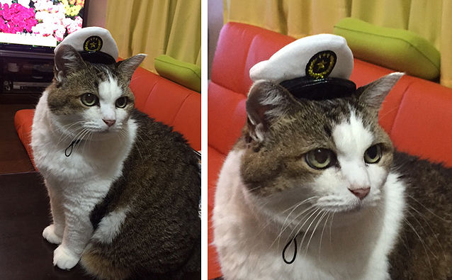 おまわりさん