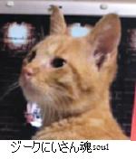 photo_6