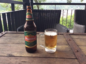 myanmar bear